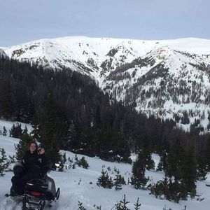 Meet your Posher, Darla